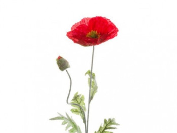 Unikko punainen - silkki